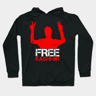 Free Kashmir From India - India Should Stop Killing Kashmiri Hoodie